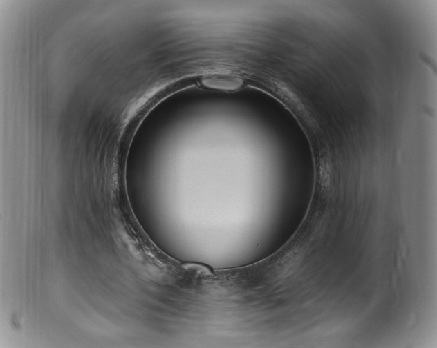 X0000099550532200805161454