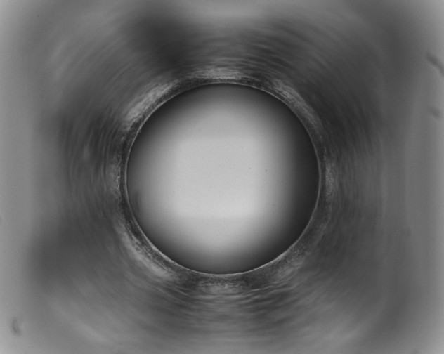 X0000099550533200805161454
