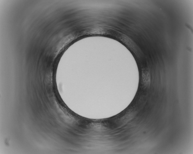 X0000099550534200805161454