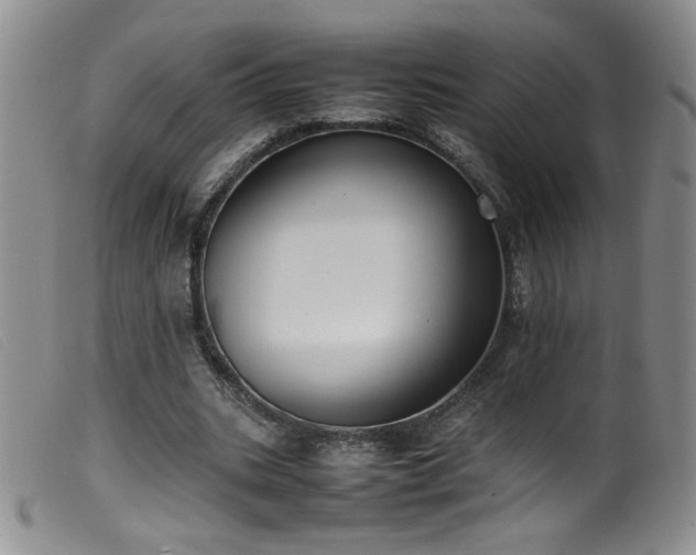 X0000099550535200805161454