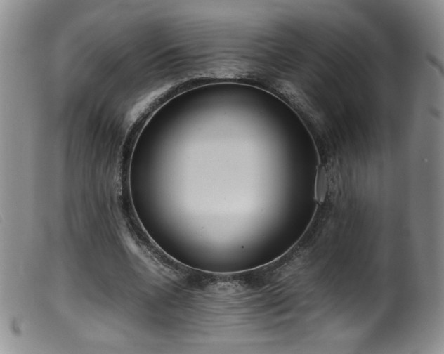 X0000099550536200805161454