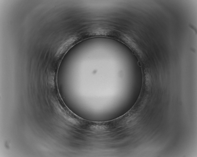 X0000099550537200805161454