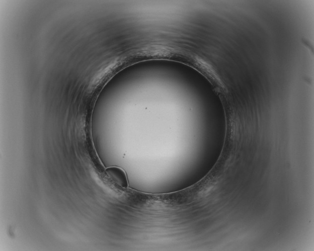 X0000099550538200805161454