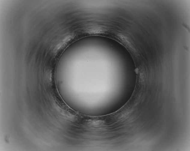 X0000099550539200805161454