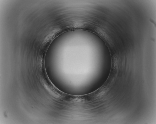 X0000099550542200805161454