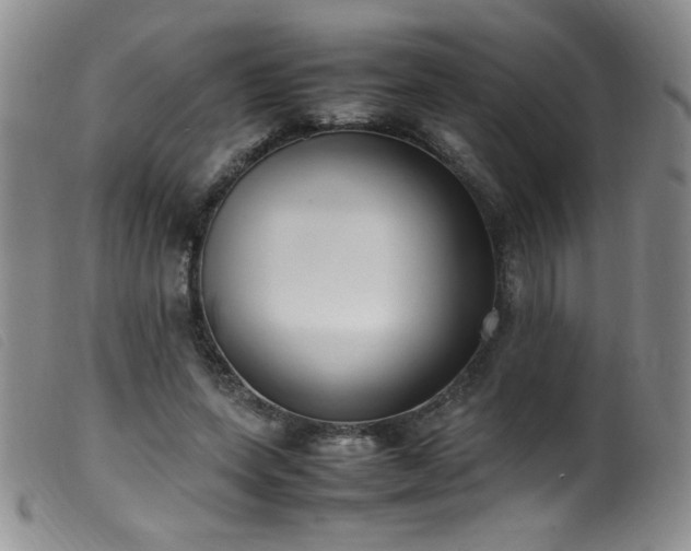 X0000099550543200805161455