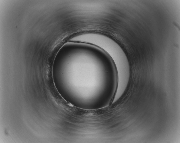 X0000099550544200805161455