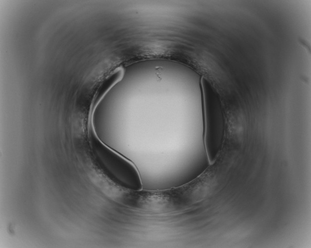 X0000099550546200805161455