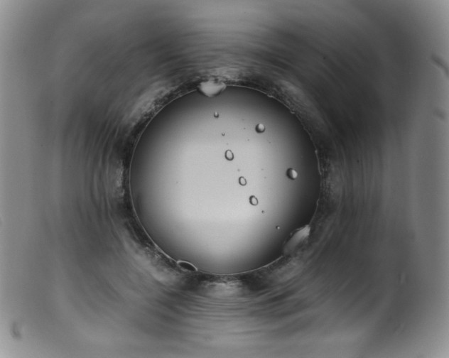 X0000099550548200805161455