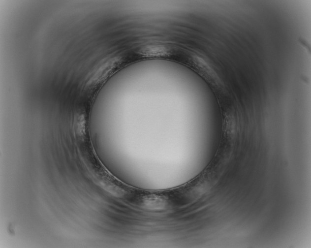 X0000099550549200805161455