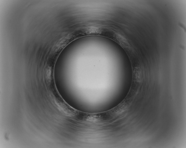 X0000099550550200805161455