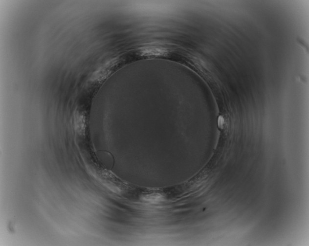X0000099550551200805161455