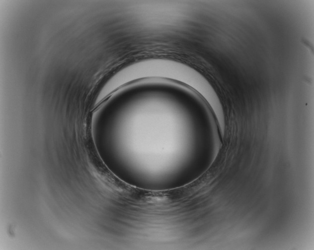 X0000099550552200805161455