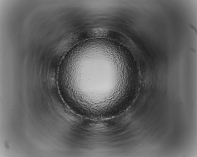 X0000099550553200805161455