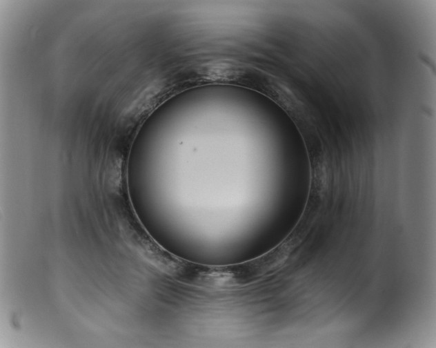 X0000099550554200805161455