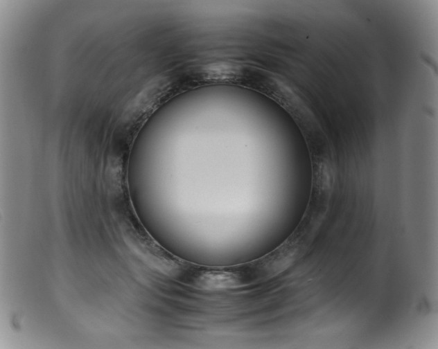 X0000099550557200805161455