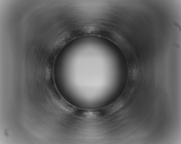 X0000099550558200805161455