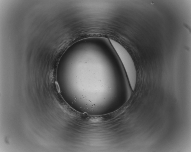 X0000099550560200805161455