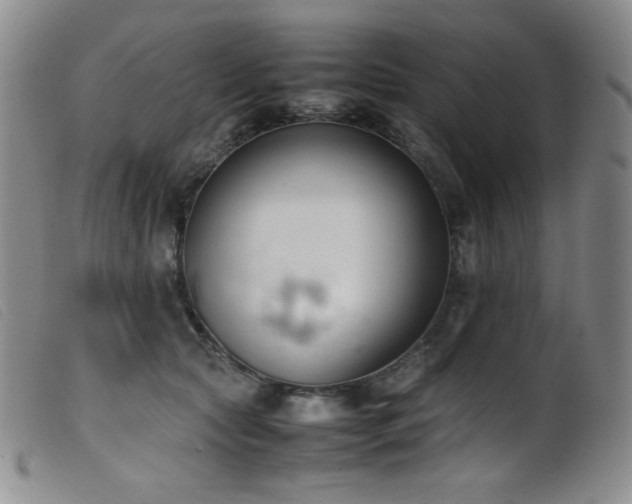 X0000099550561200805161455