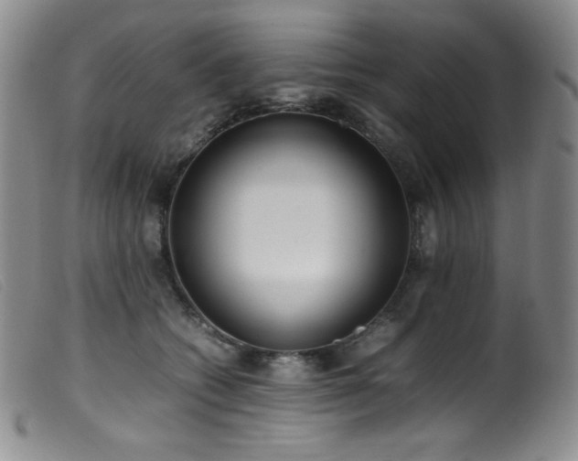 X0000099550562200805161455