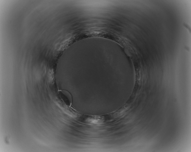 X0000099550563200805161455