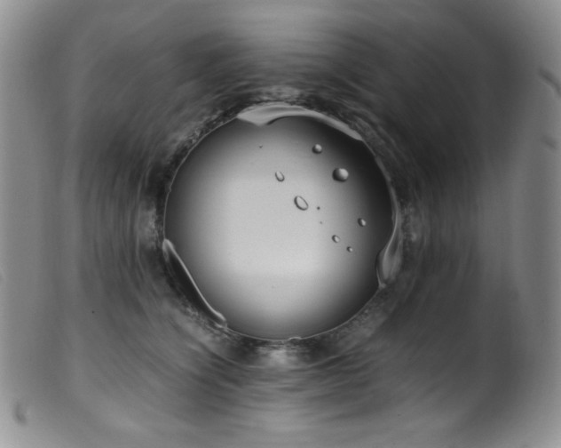 X0000099550564200805161455