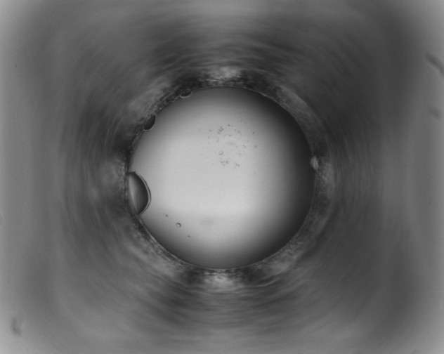 X0000099550565200805161455