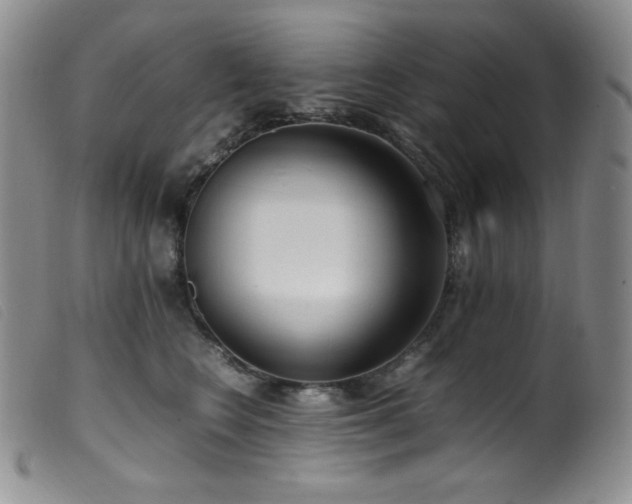 X0000099550566200805161455