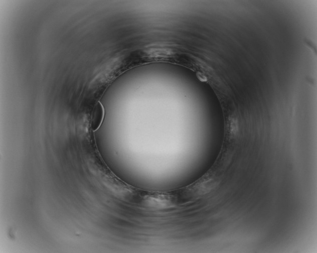 X0000099550567200805161455