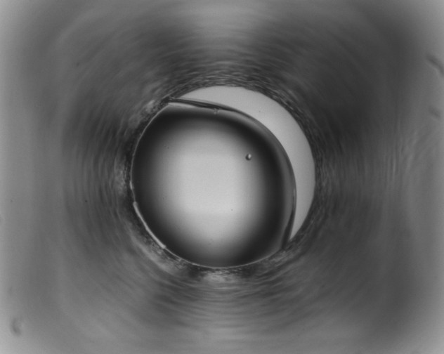 X0000099550568200805161455