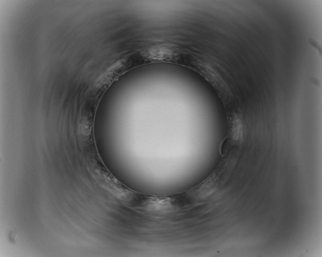 X0000099550569200805161455