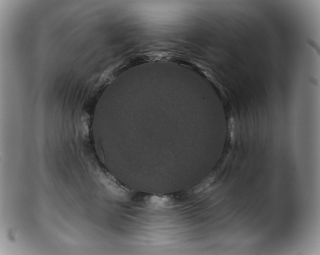 X0000099550570200805161455