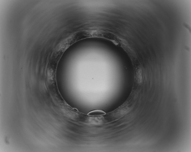 X0000099550571200805161455