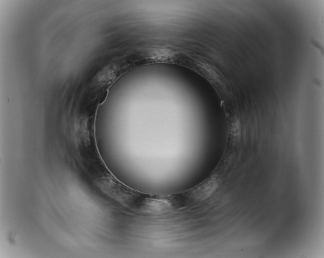 X0000099550572200805161455