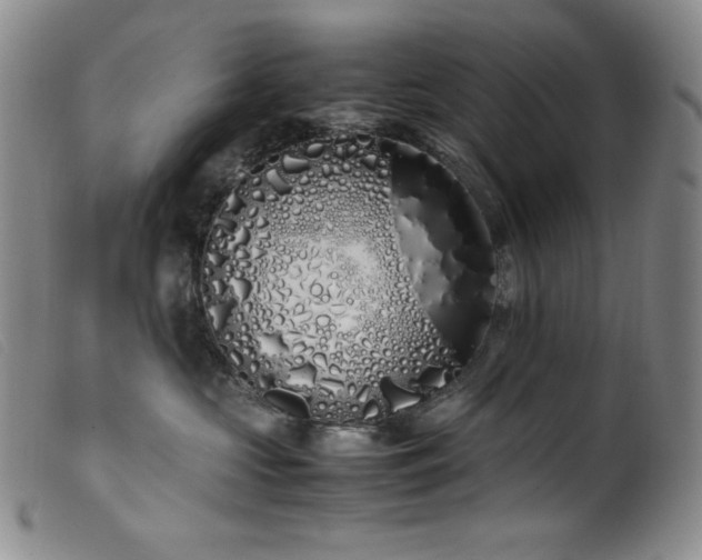 X0000099550573200805161455