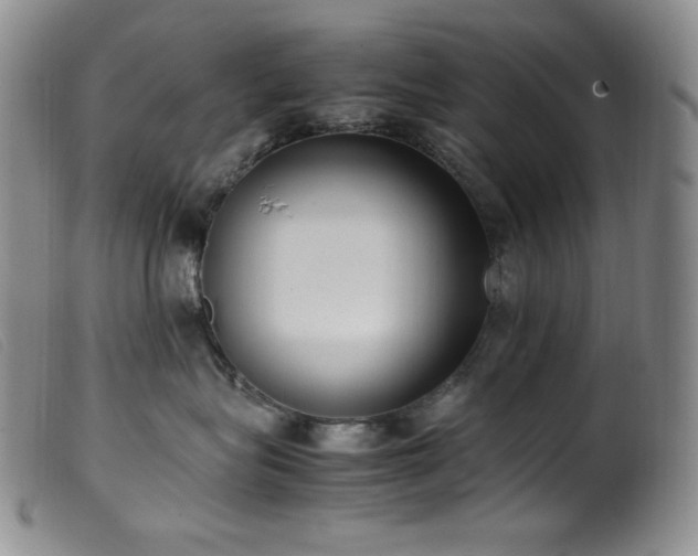 X0000099550575200805161455