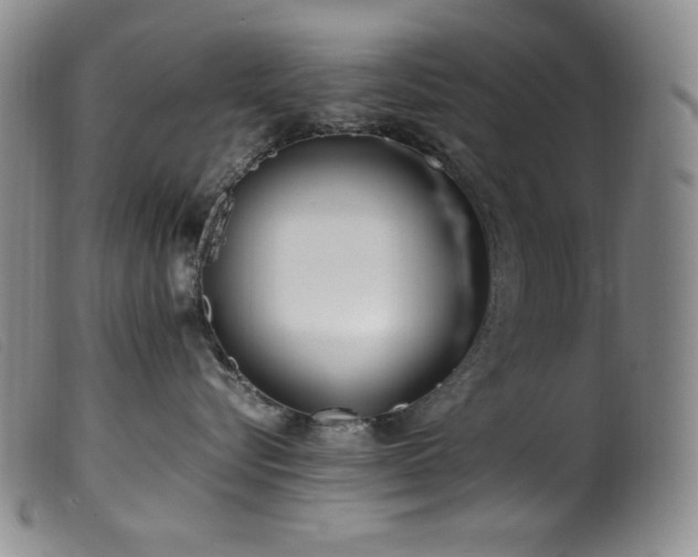 X0000099550576200805161455