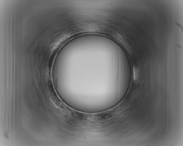 X0000099550579200805161454