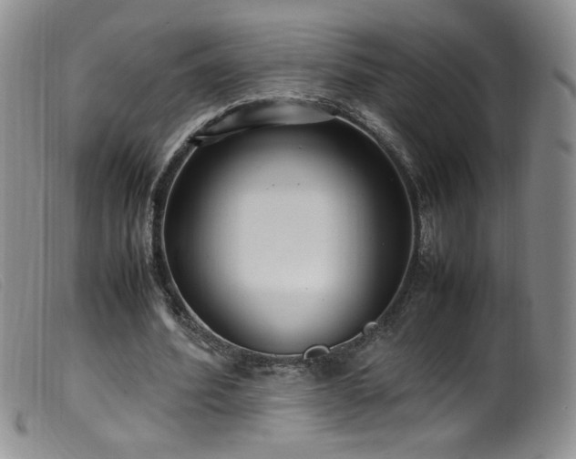 X0000099550580200805161454
