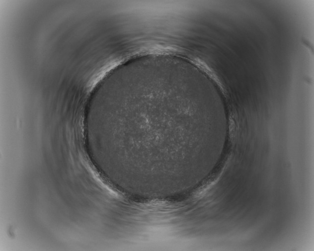 X0000099550581200805161454