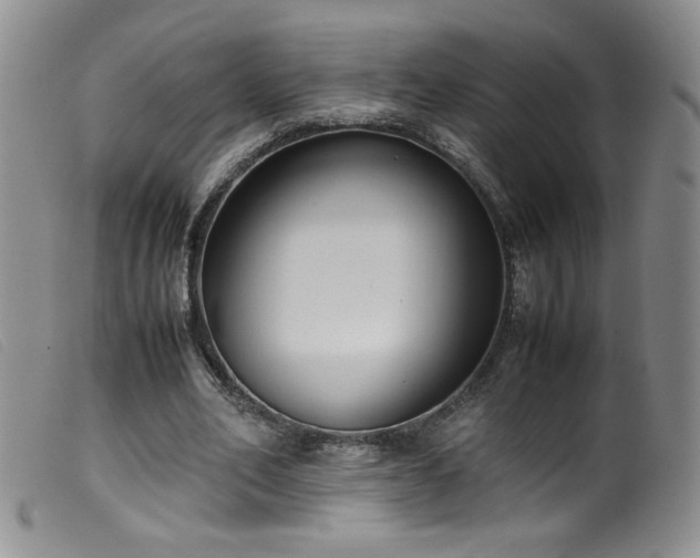 X0000099550582200805161454