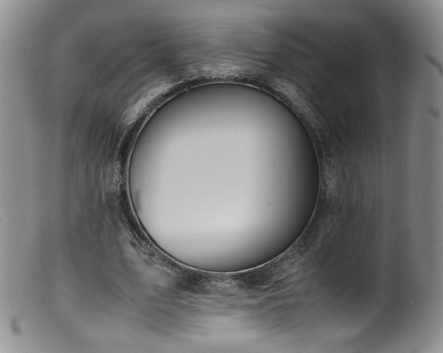 X0000099550583200805161454