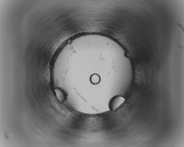 X0000099550584200805161454