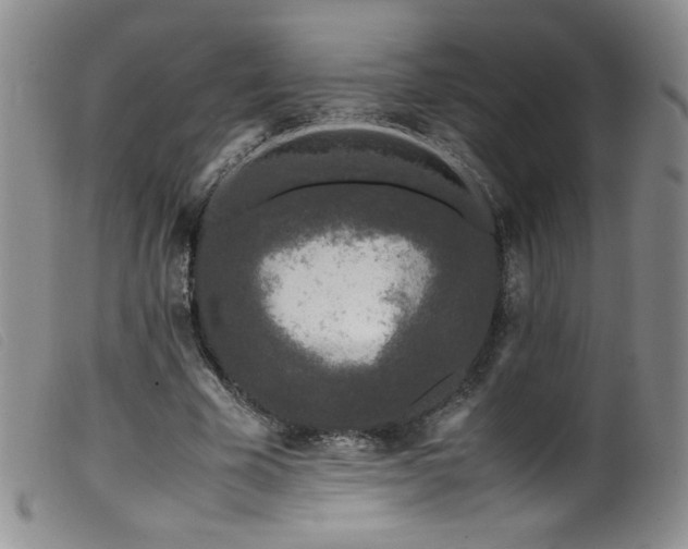 X0000099550585200805161454