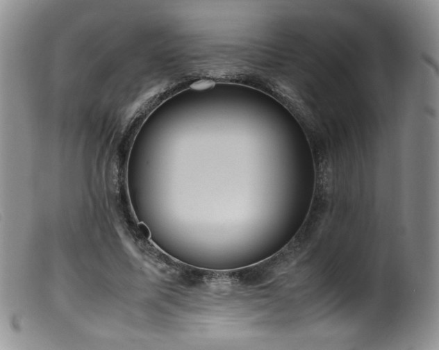 X0000099550587200805161454