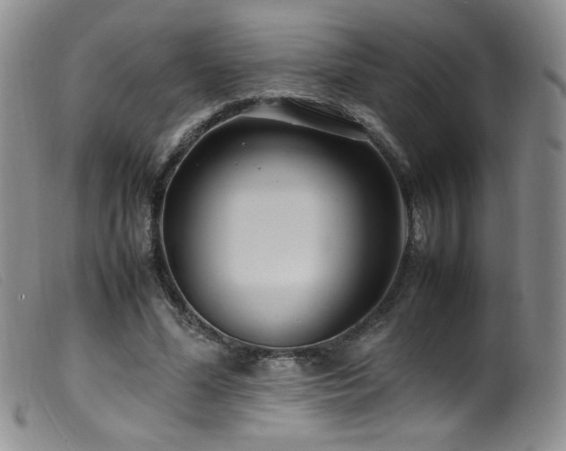 X0000099550588200805161454