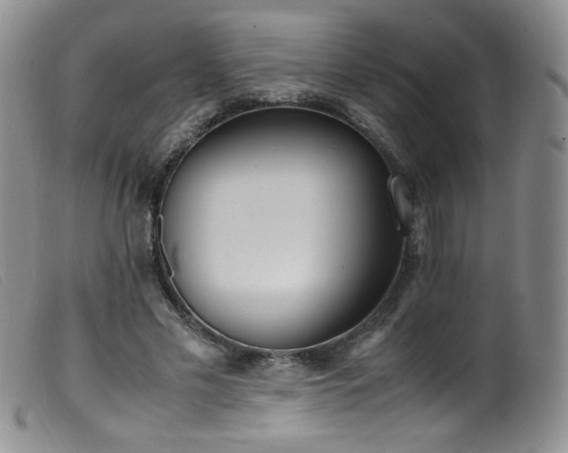 X0000099550589200805161454