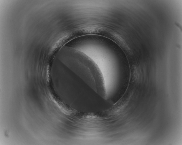 X0000099550590200805161454