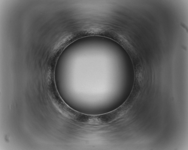 X0000099550591200805161454
