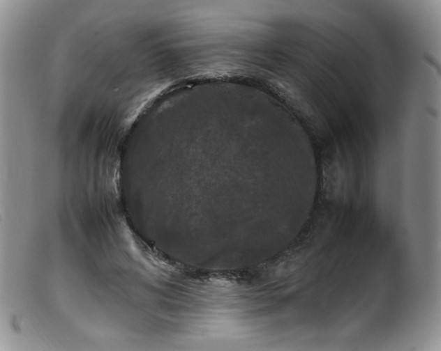 X0000099550592200805161454